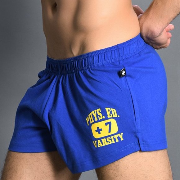 Andrew Christian Other - Andrew Christian Phys. Ed Shorts Royal Blue NWT